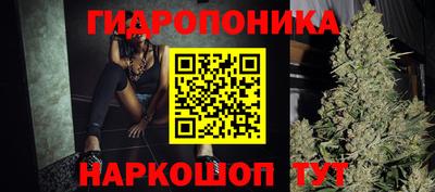 дмт Славгород