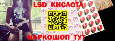дмт Славгород