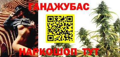 PSILOCYBIN Сланцы