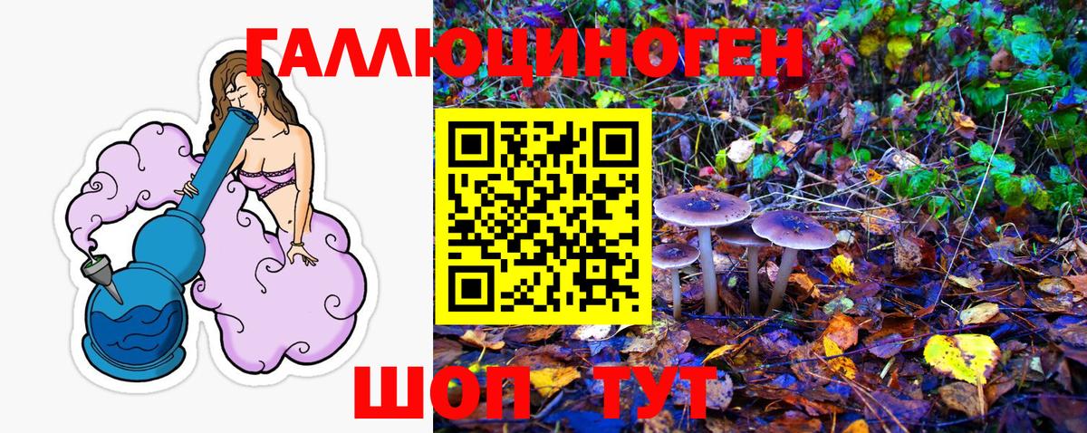Новосибирск  Галлюциногенные грибы Cubensis  Вход с VPN 