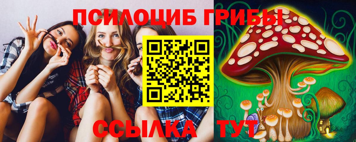 Псилоцибиновые грибы Cubensis Новосибирск