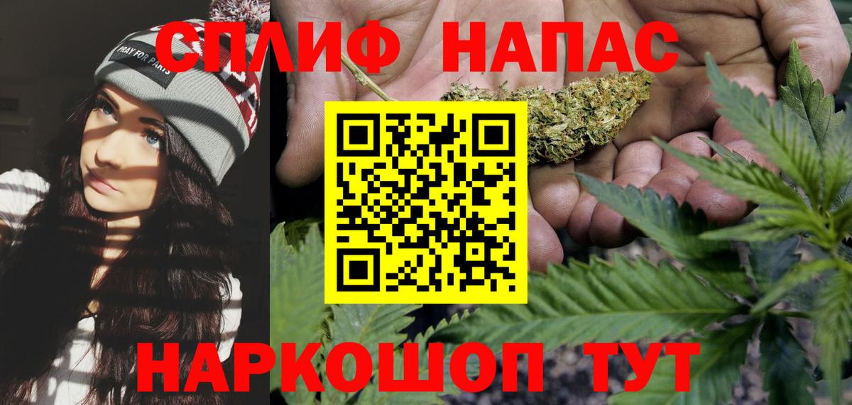 Конопля Bruce Banner Новосибирск